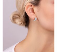 Срібні сережки з фіанітами (7E24348): купить