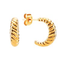 Пустотелые серьги из нержавеющей стали (JMLES0021)